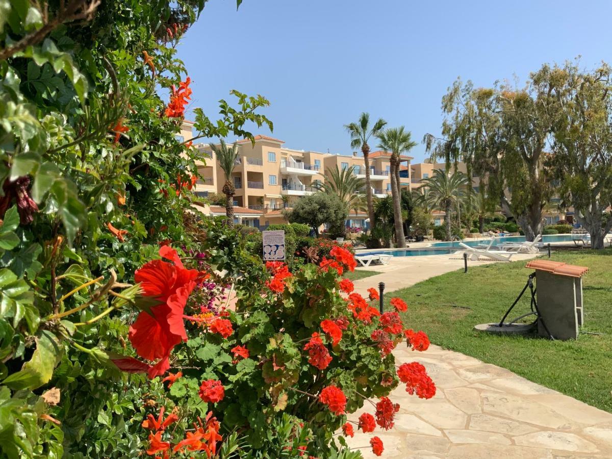 Kings Palace Indigo 109 Paphos Exteriér fotografie